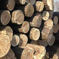 優(yōu)質(zhì)木材